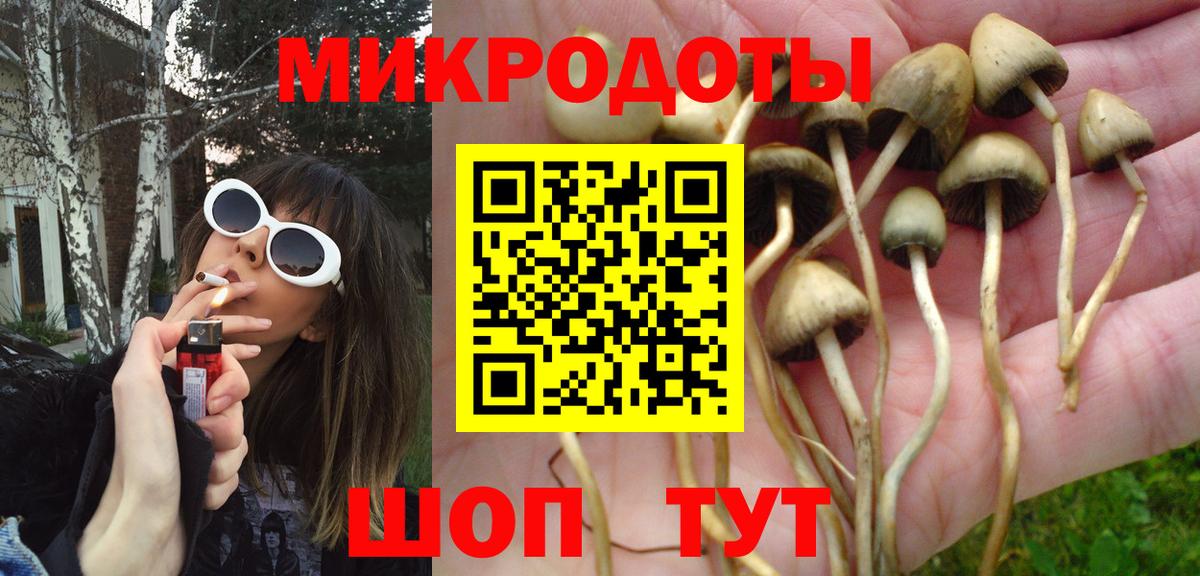 где найти   Галлюциногенные грибы ЛСД  Вход с VPN  Чебаркуль  Галлюциногенные грибы прущие грибы 