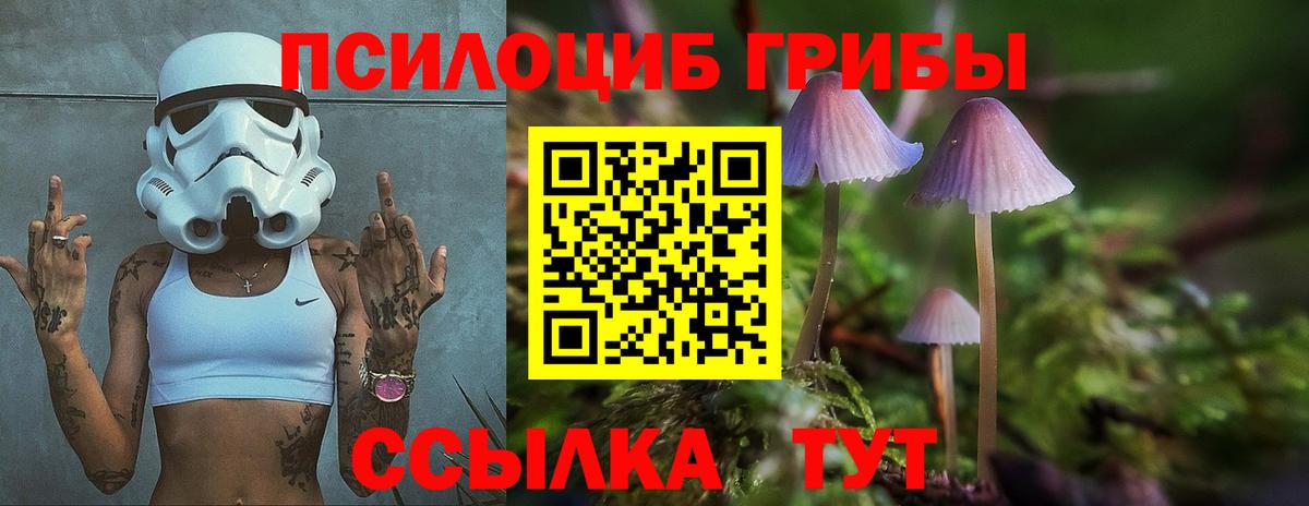 Галлюциногенные грибы Cubensis Чебаркуль
